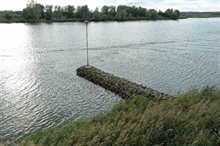 Flexibele krib in een rivier. Op de achtergrond een boomrijke oever.